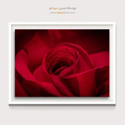 خرید تابلو گل رز