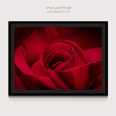 خرید تابلو گل رز