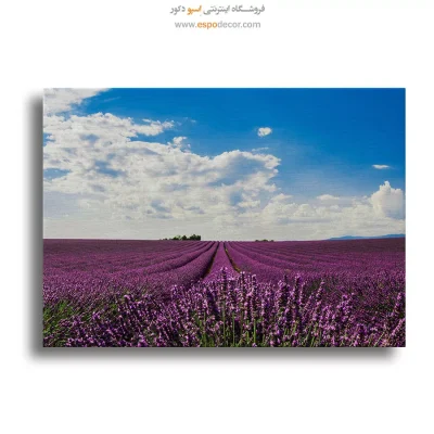 تابلو طبیعت