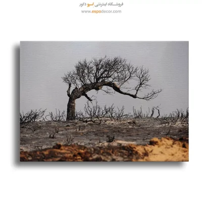 تابلو طبیعت