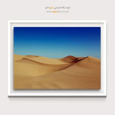 خرید تابلو بوم طبیعت کویری