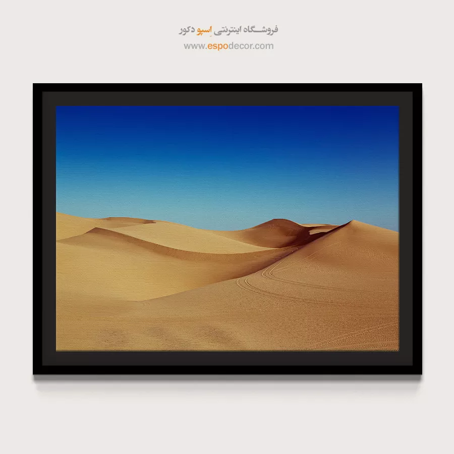 خرید تابلو بوم طبیعت کویری