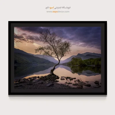 خرید تابلو تصویر درخت