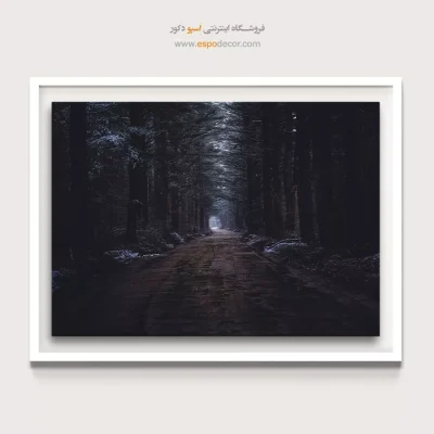 خرید تابلو عکس طبیعت