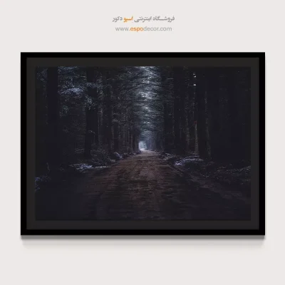 خرید تابلو عکس طبیعت