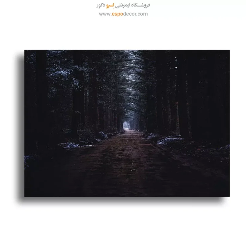 خرید تابلو عکس طبیعت