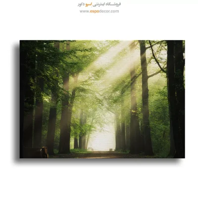 تابلو طبیعت