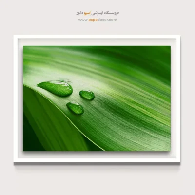 خرید تابلو با آرامش