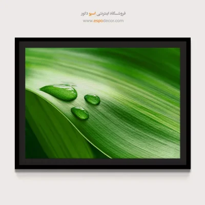 خرید تابلو با آرامش