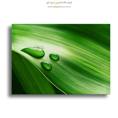 تابلو طبیعت