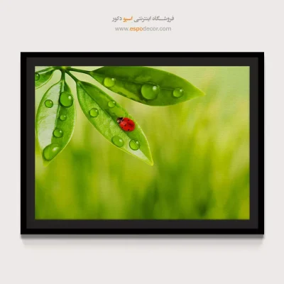 خرید تابلو طبیعت چشم‌نواز