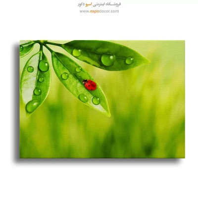 تابلو طبیعت