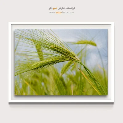 خرید تابلو بی نظیر برای خانه