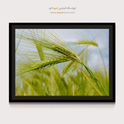خرید تابلو بی نظیر برای خانه