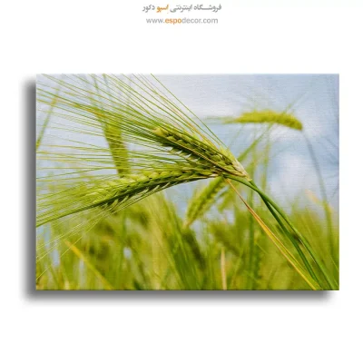 تابلو طبیعت