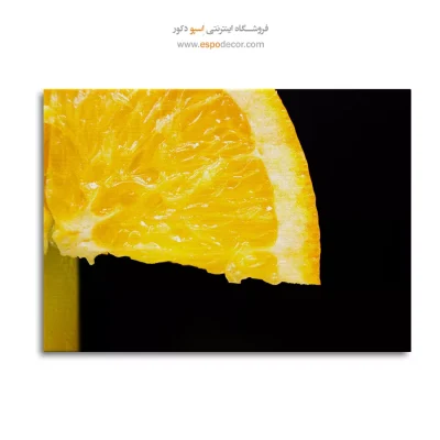 خرید تابلو بوم طبیعت زیبا