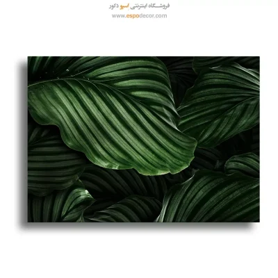 تابلو طبیعت