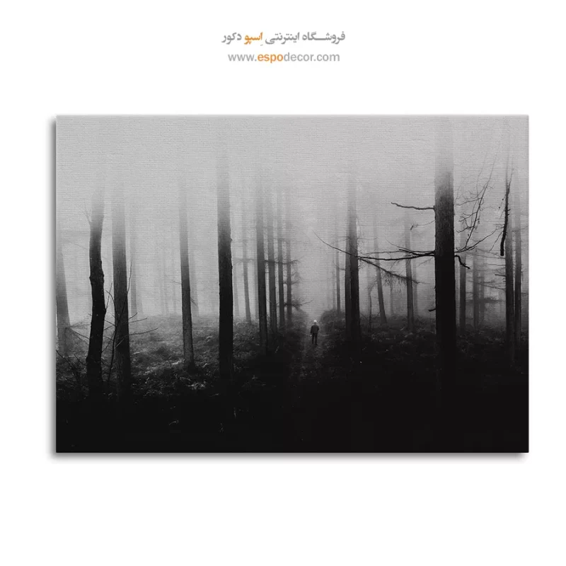 تابلو جنگل سیاه و سفید
