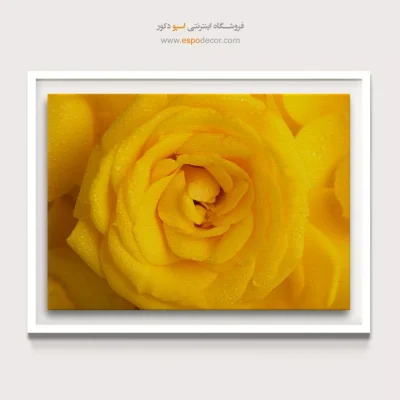 تابلو رز زرد