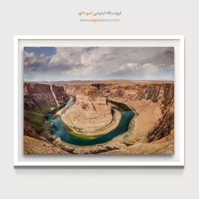 تابلو بوم طبیعت گرمسیری
