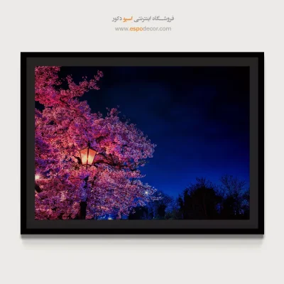 تابلو بوم طبیعت رویایی