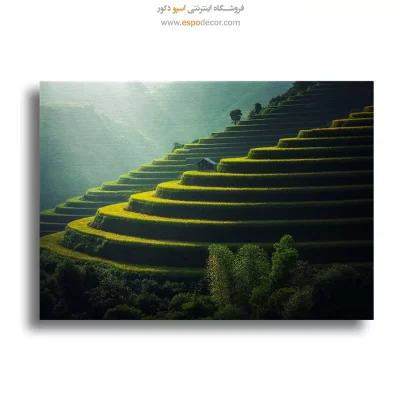 تابلو طبیعت