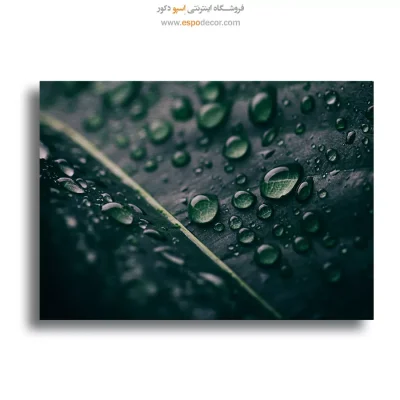 تابلو طبیعت