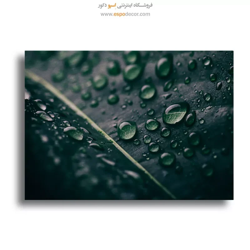 تابلو طبیعت