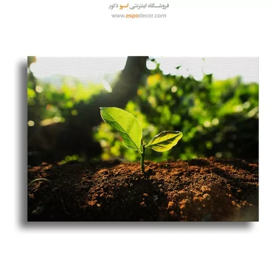 تابلو طبیعت