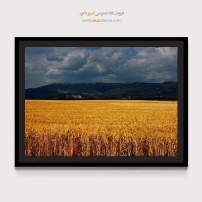 تابلو طبیعت با هارمونی رنگ دلنشین