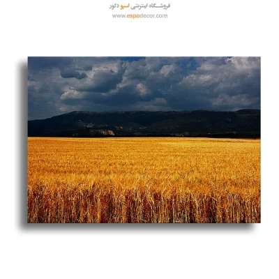 تابلو طبیعت