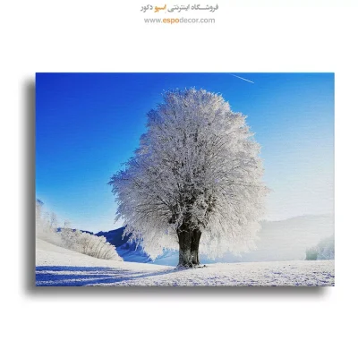 تابلو طبیعت