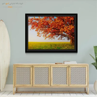 تابلو طبیعت برای نور طبیعی