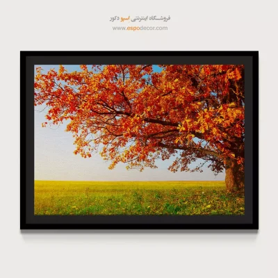 تابلو طبیعت برای نور طبیعی