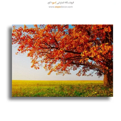 تابلو طبیعت
