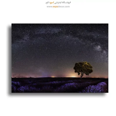 تابلو طبیعت