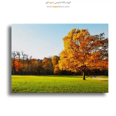 تابلو طبیعت
