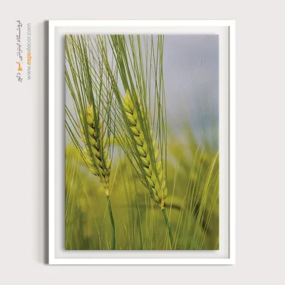 تابلو طبیعت در سبک احساسی