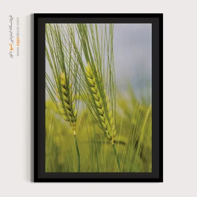 تابلو طبیعت در سبک احساسی