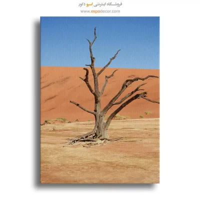 تابلو طبیعت