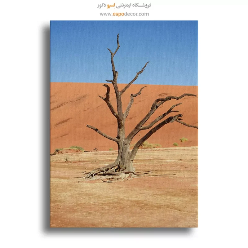تابلو طبیعت