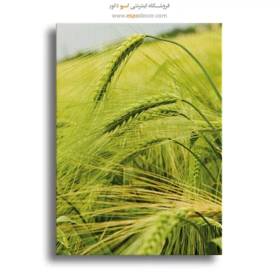 تابلو طبیعت