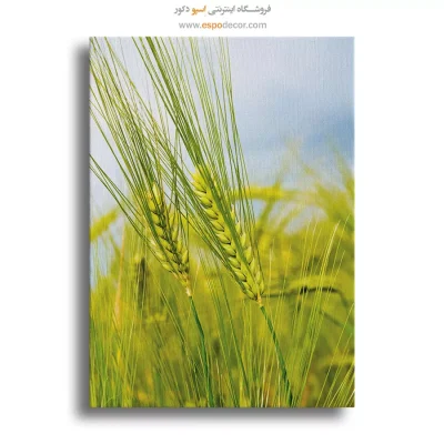 تابلو طبیعت