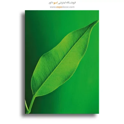 تابلو طبیعت