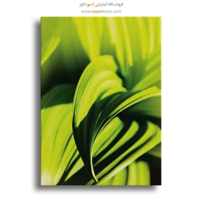 تابلو طبیعت