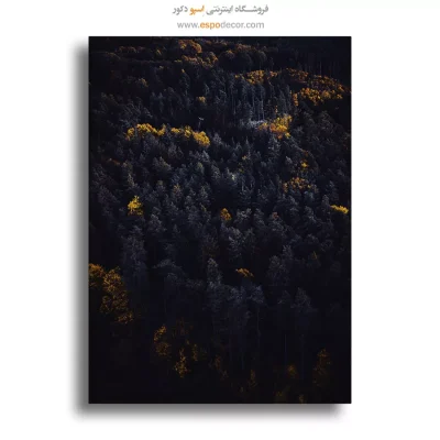 تابلو طبیعت