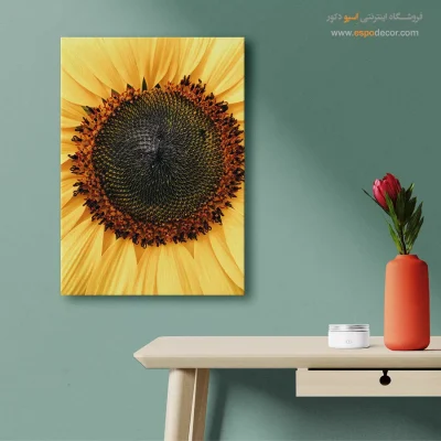 تابلو طبیعت برای زندگی آگاهانه