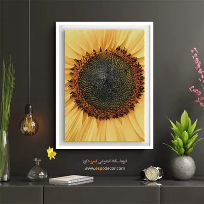 تابلو طبیعت برای زندگی آگاهانه