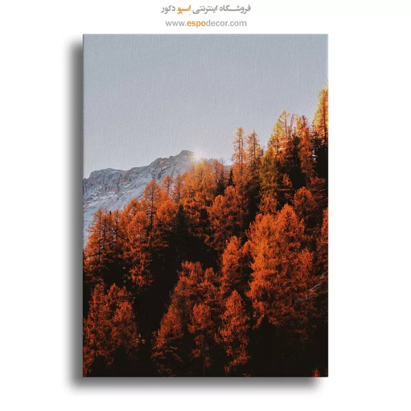 تابلو طبیعت در طراحی ساکت