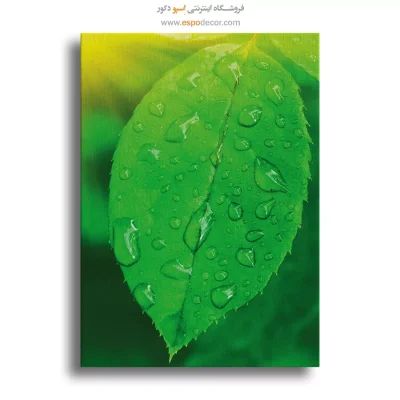 تابلو طبیعت